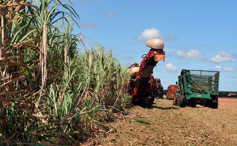Agropecuária brasileira é uma das que mais cresce no mundo | Portal Brasil