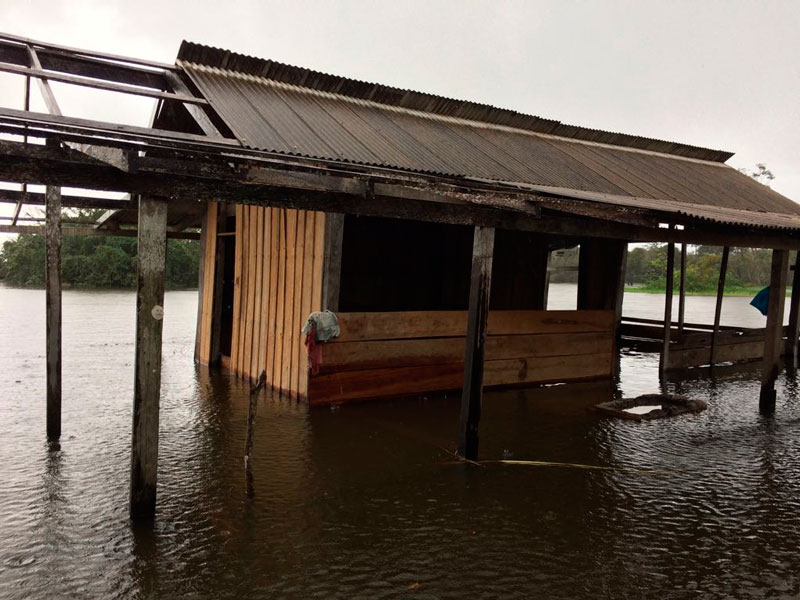 Enchente evolui e Defesa Civil coloca novos municípios em alerta no AM | EM TEMPO