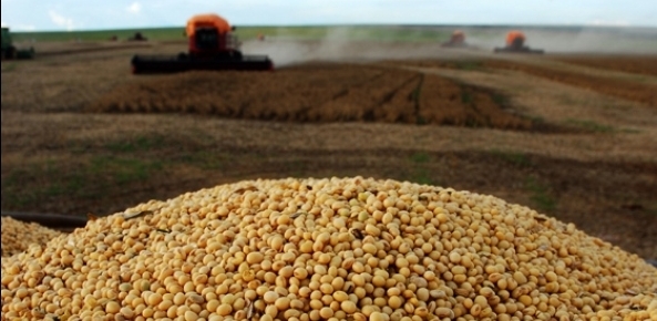 USDA eleva previsão de exportação de soja do Brasil em 2017/18; mantém safra | CNA Brasil