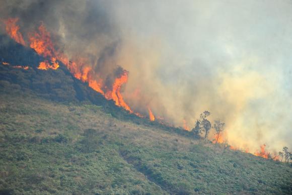 Programa do Inpe identifica focos de incêndio pelo País em tempo real | Portal Brasil