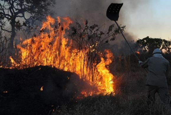 Maioria dos incêndios no Brasil tem origem na ação humana | Portal Brasil