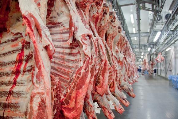 Técnicos estrangeiros vêm ao Brasil para fiscalizar carne bovina | Portal Brasil